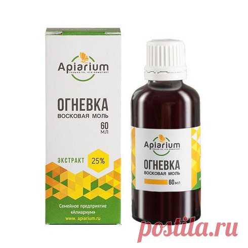 Союз огневки и пчелы дарит здоровье – Восковая моль Огневка