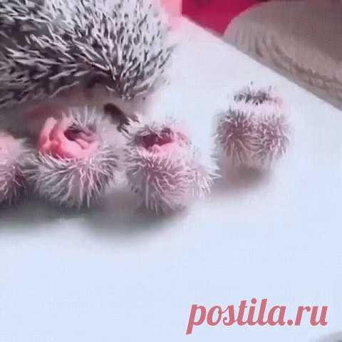 Комментарии к теме