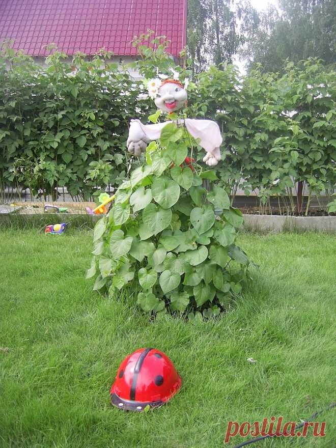 (46) Одноклассники