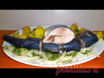 СЕЛЕДКА ВКУСНЕЕ КРАСНОЙ РЫБЫ! Покажу как Вкусно Мариновать! Малосольная РЫБА!