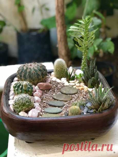 Pin page