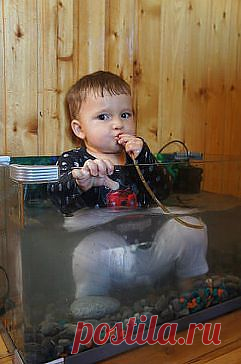 (40) Одноклассники