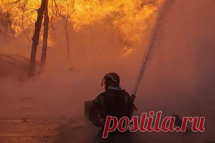 В Киеве насчитали более 200 случаев поджога машин военных