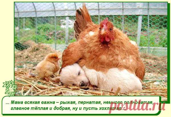 Хорошего Вам настроения.
