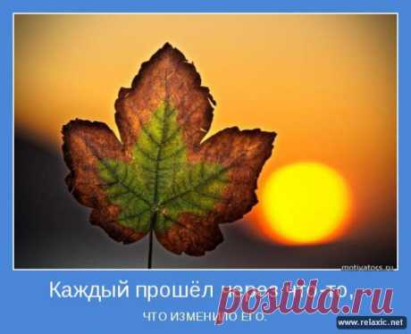 Позитивные мотиваторы (115 штук) | Релаксик