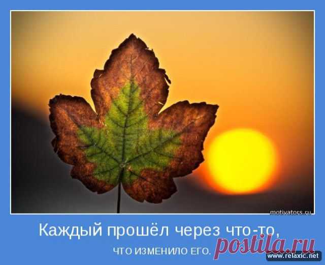 Позитивные мотиваторы (115 штук) | Релаксик