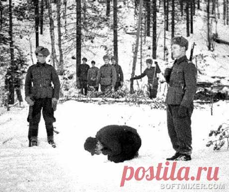 Дезертирство в годы войны / Назад в СССР / Back in USSR