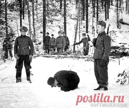 Дезертирство в годы войны / Назад в СССР / Back in USSR