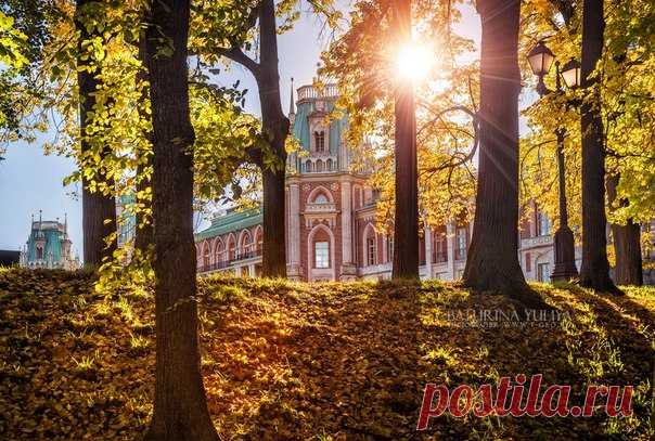 Осень в Царицыно. Автор фото — Yuliya Baturina: