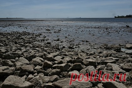 На Украине прекратили замерять глубину воды в Каховском водохранилище. Украинские специалисты к понедельнику, 12 июня полностью прекратили замерять глубину воды в Каховском водохранилище. Вода опустилась опустилась ниже уровня датчиков, которые расположены на отметке 9,04 метра в районе Никополя. До разрушения плотины наибольшее значение этого показателя достигало 26 метров.