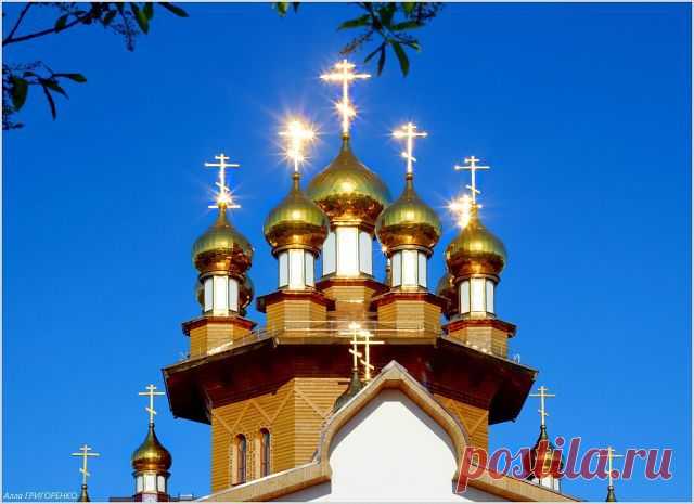 МИРОВОЕ ПОЛИТИЧЕСКОЕ ШОУ - новости каждый день
Владимировна я