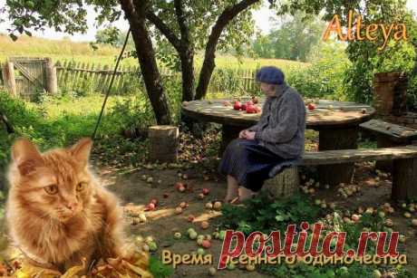 Пусть дни наполняются теплом общения, а вечера уютом и радостью. Желаю богатого урожая идей, сил и вдохновения! Открытки на День осеннего одиночества!