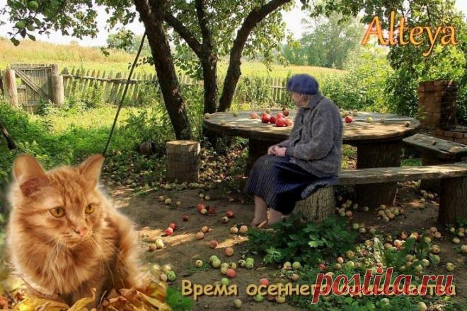 Пусть дни наполняются теплом общения, а вечера уютом и радостью. Желаю богатого урожая идей, сил и вдохновения! Открытки на День осеннего одиночества!