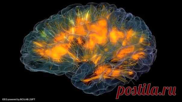Какая скорость работы мозга? / Физика невозможного!
