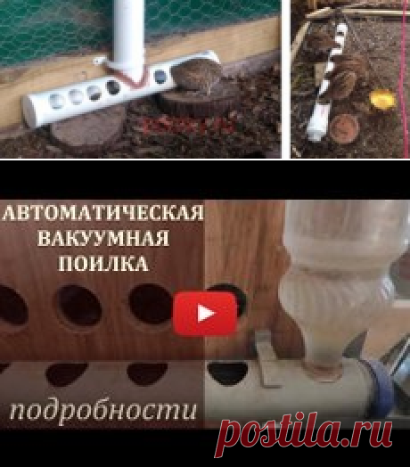 клетки перепелов из подручного материала - 980 картинок. Поиск Mail.Ru