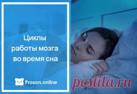 Только ли отдыхает мозг во сне – что происходит