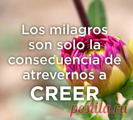 Чудеса возможны только если в них верить / Изучаем Испанский