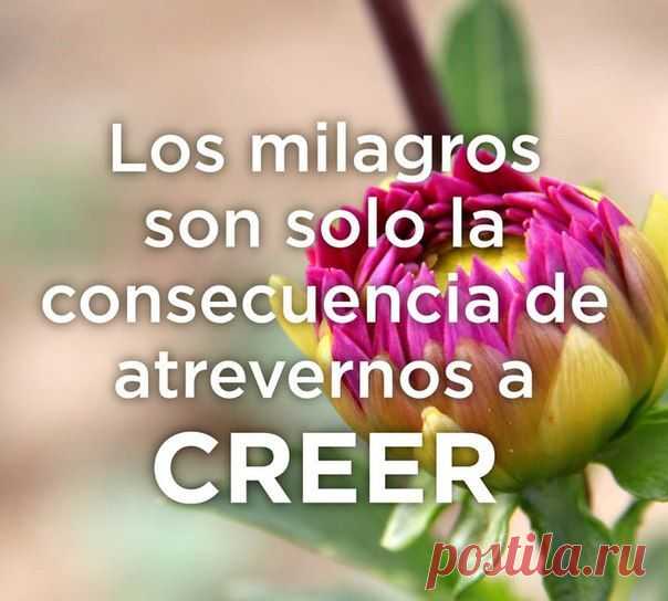Чудеса возможны только если в них верить / Изучаем Испанский