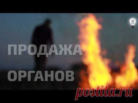 Торговля органами на Украине | НОВОСТНОЙ ЖУРНАЛ