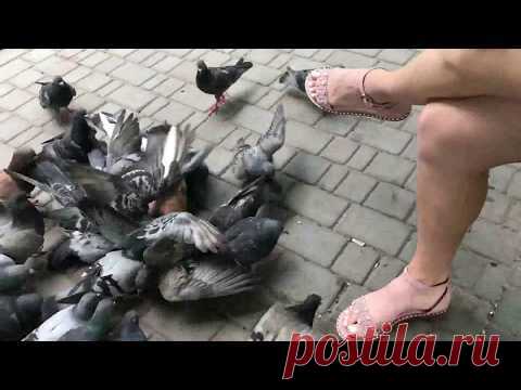 ♥♥ отказ от заказа , что делать ? ♥♥