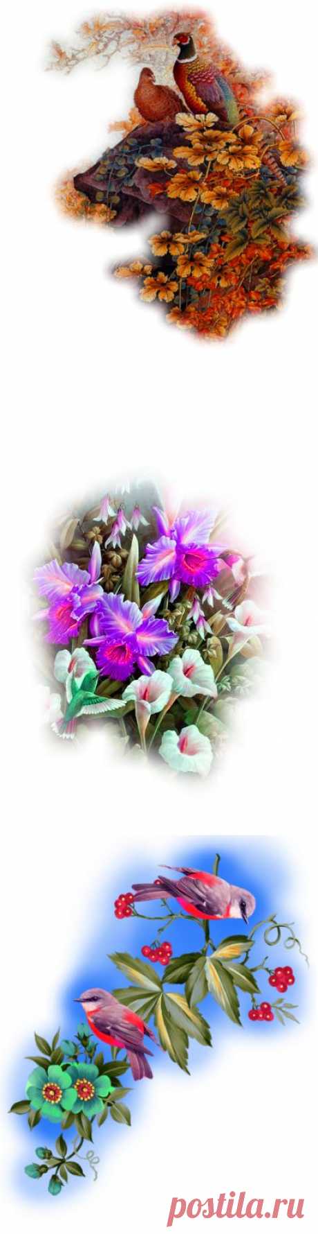 Клипарт PNG &quot; Цветы и птицы &quot; часть 2.