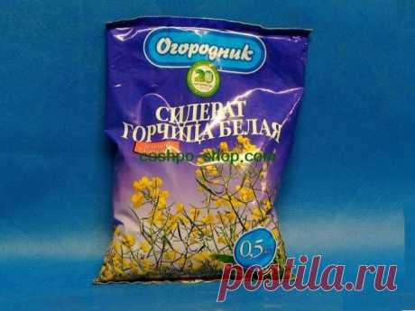 Какую можно использовать горчицу как удобрение: ее виды и свойства