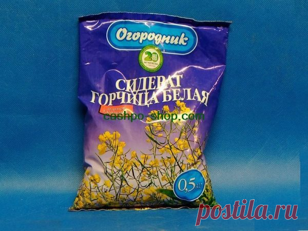 Какую можно использовать горчицу как удобрение: ее виды и свойства