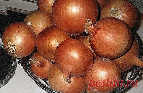 Рецепт народной медицины для лечения почек. | OK.RU