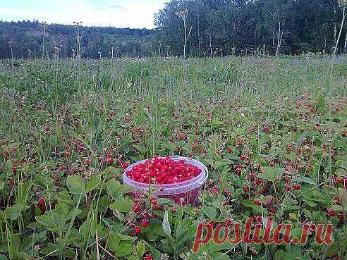 Одноклассники