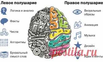 Развитие мышления: способы тренировки мозга.  




Мышление можно по праву назвать венцом человеческого познания. Оно представляет собой мыслительную деятельность со своими целями, мотивами, оперативными функциями и результатами. Охарактеризоват…