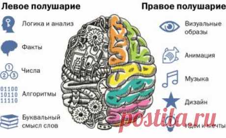 Развитие мышления: способы тренировки мозга.  




Мышление можно по праву назвать венцом человеческого познания. Оно представляет собой мыслительную деятельность со своими целями, мотивами, оперативными функциями и результатами. Охарактеризоват…