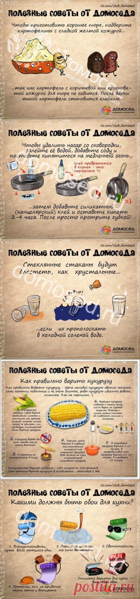 Что пригодится в жизни: полезные советы | ВСЕГДА В ФОРМЕ!