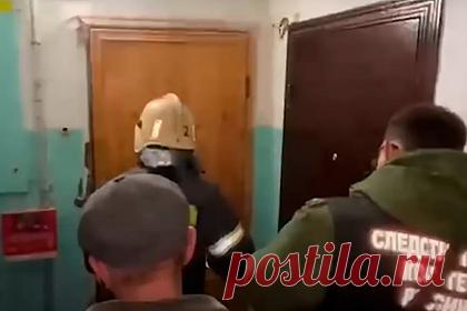 Соседи рассказали о странностях подозреваемой в убийстве девятилетней россиянки. Некоторые жильцы дома в Вологде, где обнаружили мертвой девятилетнюю девочку, рассказали, что подозреваемая в убийстве женщина часто вела себя неадекватно: кричала и подходила к чужим детям. Другие же, напротив, не считают ее виновной. Один из соседей подозреваемой вспомнил, что она очень заботилась о своем ребенке.