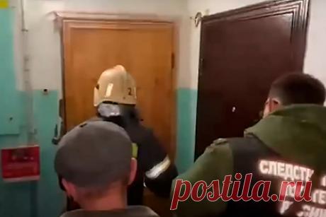 Соседи рассказали о странностях подозреваемой в убийстве девятилетней россиянки. Некоторые жильцы дома в Вологде, где обнаружили мертвой девятилетнюю девочку, рассказали, что подозреваемая в убийстве женщина часто вела себя неадекватно: кричала и подходила к чужим детям. Другие же, напротив, не считают ее виновной. Один из соседей подозреваемой вспомнил, что она очень заботилась о своем ребенке.