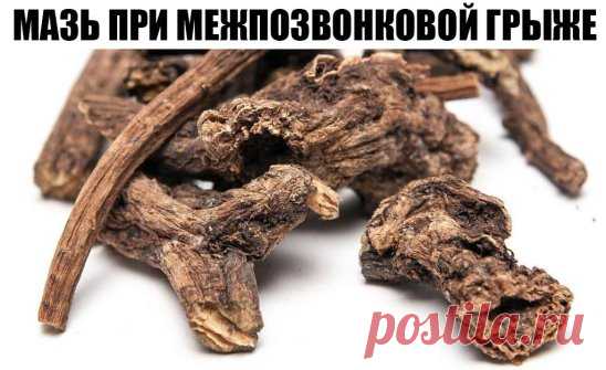 ЦЕЛЕБНАЯ МАЗЬ ПРИ МЕЖПОЗВОНКОВОЙ ГРЫЖЕ
Существуют прекрасные мази и настойки для рассасывания и обезболивания межпозвонковых грыж. Одной из самых эффективных считаются мазь и настойка из корня окопника, который в народе называют живокостью или костоломом. Окопник сращивает кости, снимает суставную боль, отеки, рассасывает грыжи.
Мазь из окопника: возьмите 0,5 кг свежего сухого корня окопника, 70 г сосновой живицы, 350 г свиного внутреннего жира, 300 г водки. Окопник вымойте, ни в коем случае не