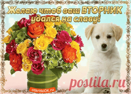 Красивые бесплатные картинки со Вторником | Открытки бесплатно