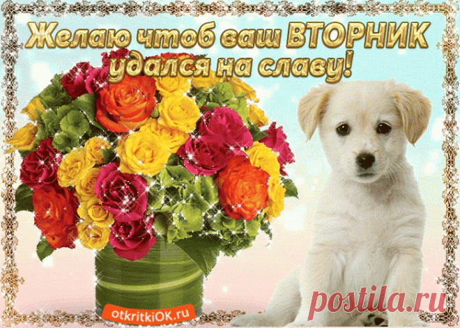 Красивые бесплатные картинки со Вторником | Открытки бесплатно