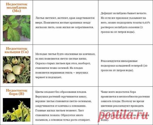 на всякий случай