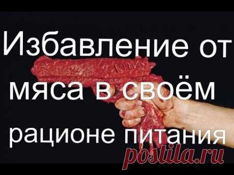 Чем можно заменить мясо в своём рационе питания