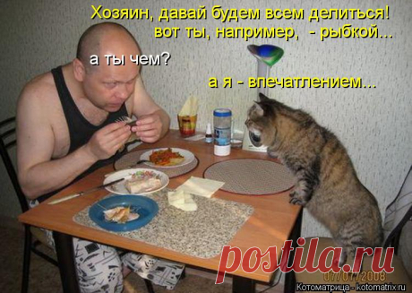Котоматрица: Случайные котоматрицы