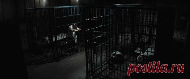 Убийцы цветочной луны (2023)