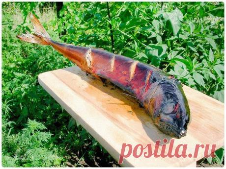 Интересные новости