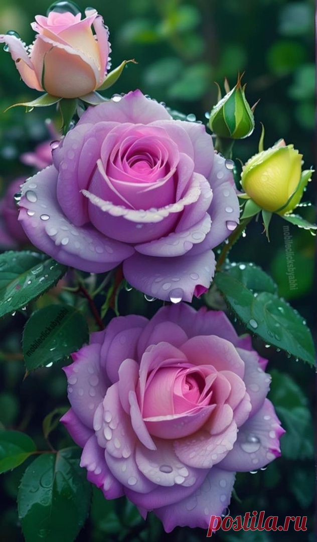 ღ