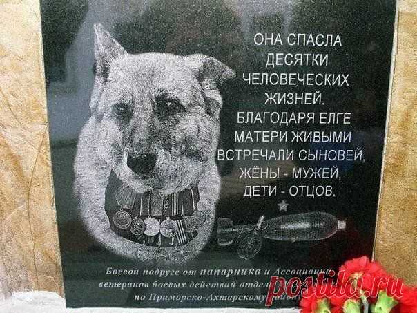 Смотри и удивляйся!