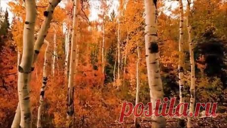 Невероятно красивая музыка осени!