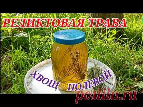Обычный сорняк, сделал воду живой.ОВП из сырой травы