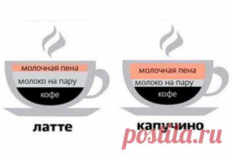 Чем отличается латте от капучино: разница между двумя видами кофе