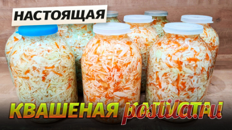 Лучший рецепт вкусной квашеной капусты в банках на зиму. Как сохранить вкус и питательность квашеной капусты до сентября / Гарантия вкуса | Гарантия Вкуса | Дзен