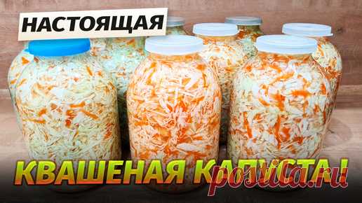 Лучший рецепт вкусной квашеной капусты в банках на зиму. Как сохранить вкус и питательность квашеной капусты до сентября / Гарантия вкуса | Гарантия Вкуса | Дзен