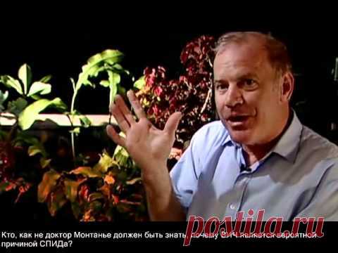 ВИЧ МИСТИФИКАЦИЯ Биохимик, доктор наук Кэри Муллис, лауреат Нобелевской премии считает, что теория ВИЧ=СПИД не доказана и является адской ошибкой.